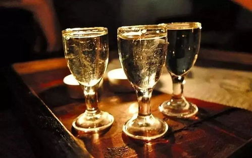 金樽黑酒 與講究者共飲，一場流動的儀式