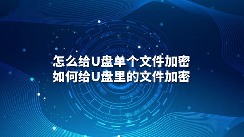 U盤文件加密指南 從單個(gè)文件到批量保護(hù)與專業(yè)軟件開發(fā)